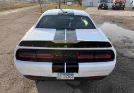 car stripe 1