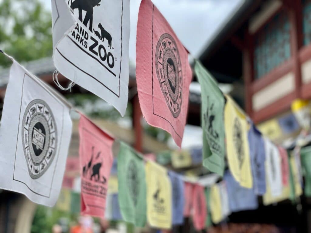 Image of Custom Banners