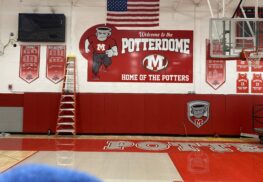 Image of Potterdome Wall Wrap