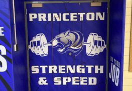 Image of Princeton Door - Entrance
