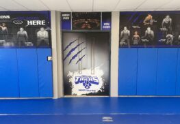 Image of Princeton Door - Inside